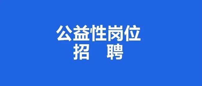 沙丁村最新招聘信息全面解析